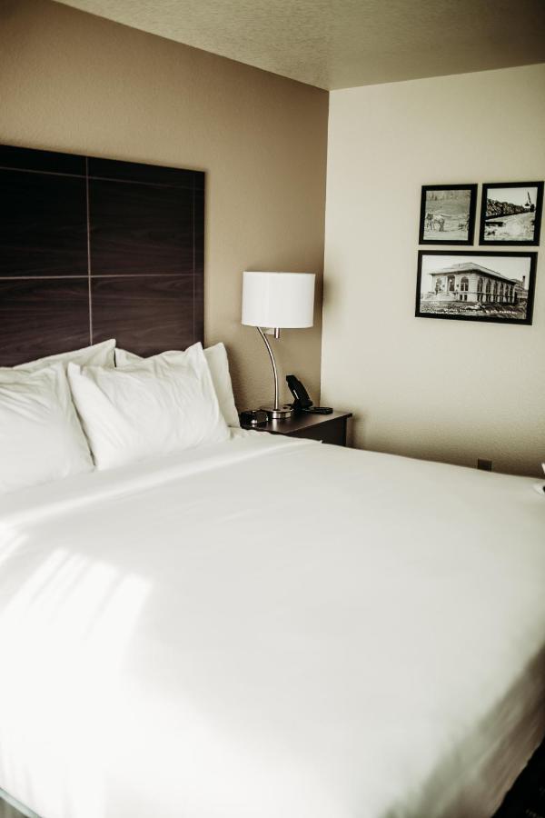 Cobblestone Hotel & Suites Интернашенал-Фолс Экстерьер фото